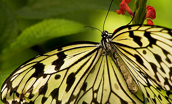 Malaysia Photography