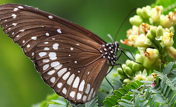 Malaysia Photography
